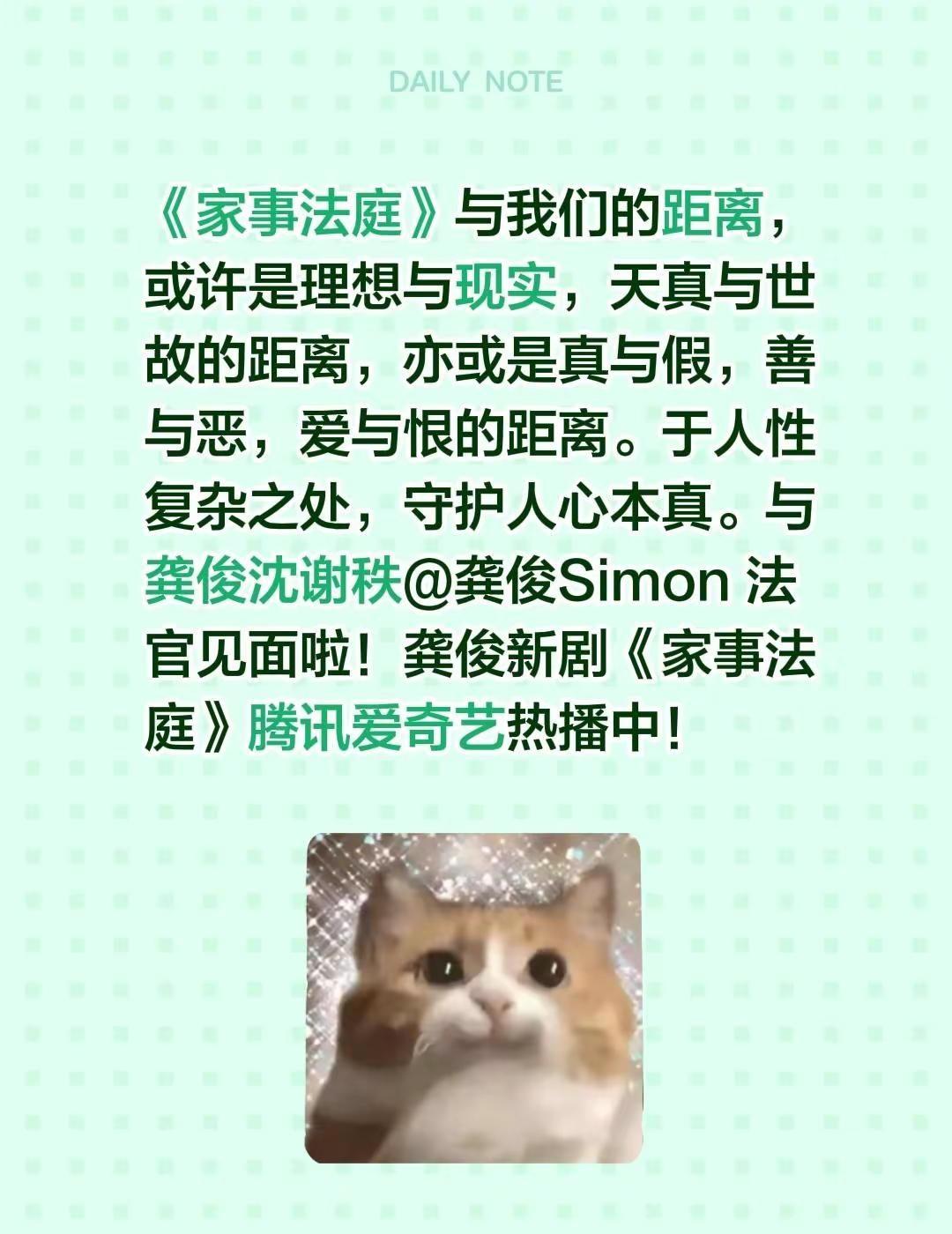 《家事法庭》与我们的距离，或许是理想与现实，天真与世故的距离，亦或是真与假，善与