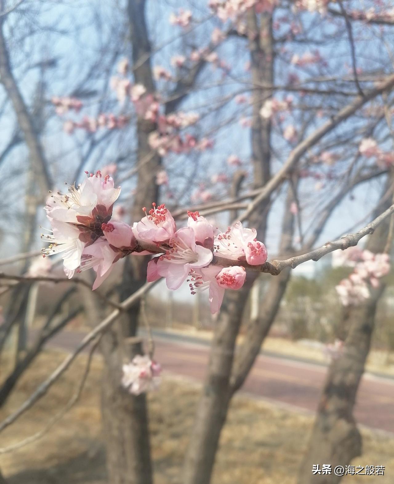 你看这烟火气，藏着人间的温柔与热望，藏着无数个平凡日子的闪光。

今天是周四，离
