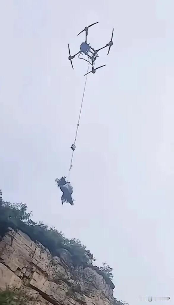 程梦圆找到了。
在张良庙悬崖底下。
二十二岁，刚毕业，还没来得及站上讲台。
评论