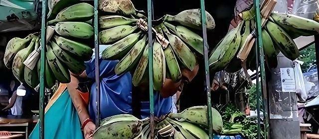 菲律宾香蕉协会负责人，一句话砸在桌上：“中国断了我们30万蕉农的生计！”
网友：