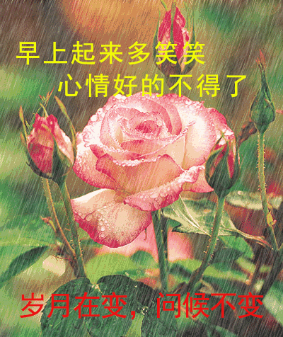 友情相牵、一晃而过的是岁月。
时光不老、一见如故的是缘分。
缘份似金、一心挂念的