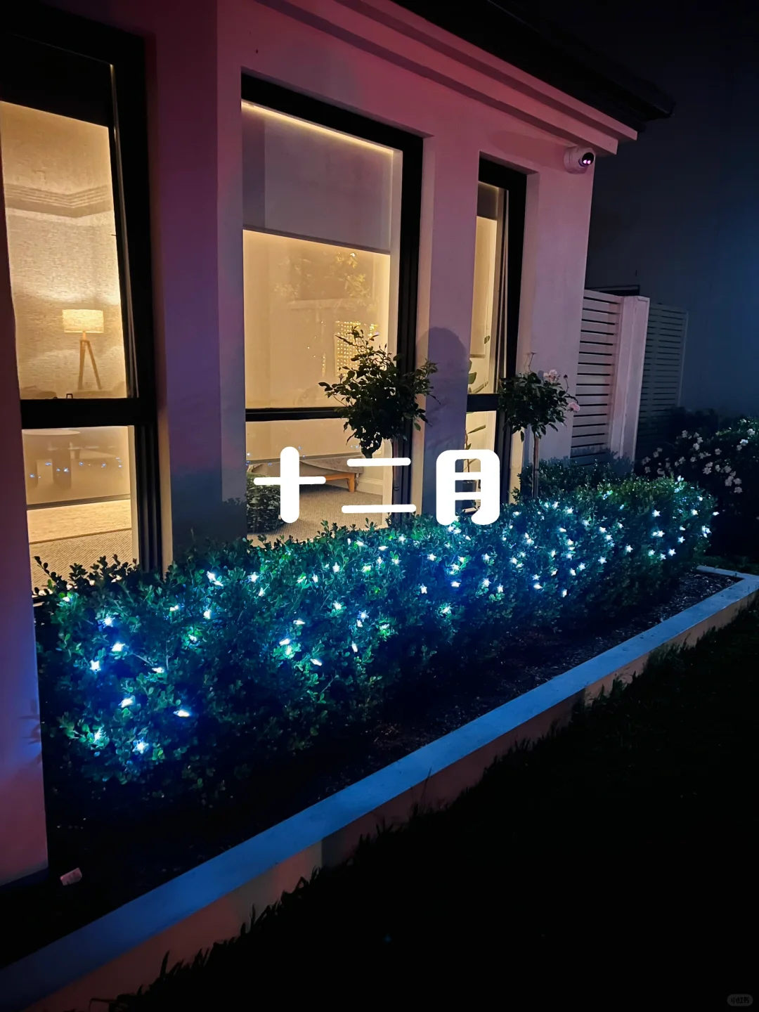 搬入悉尼西北一年后 又来冰雹了