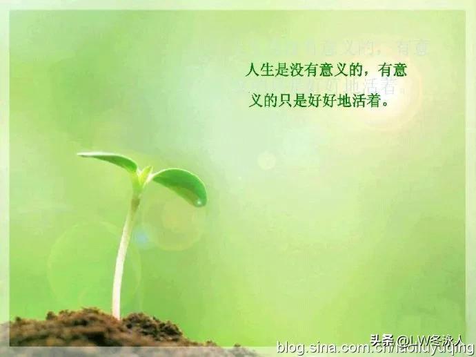 人活着其实根本就没有自己的自由。人生根本就没有自己可以决定的。就连生与死都无法决