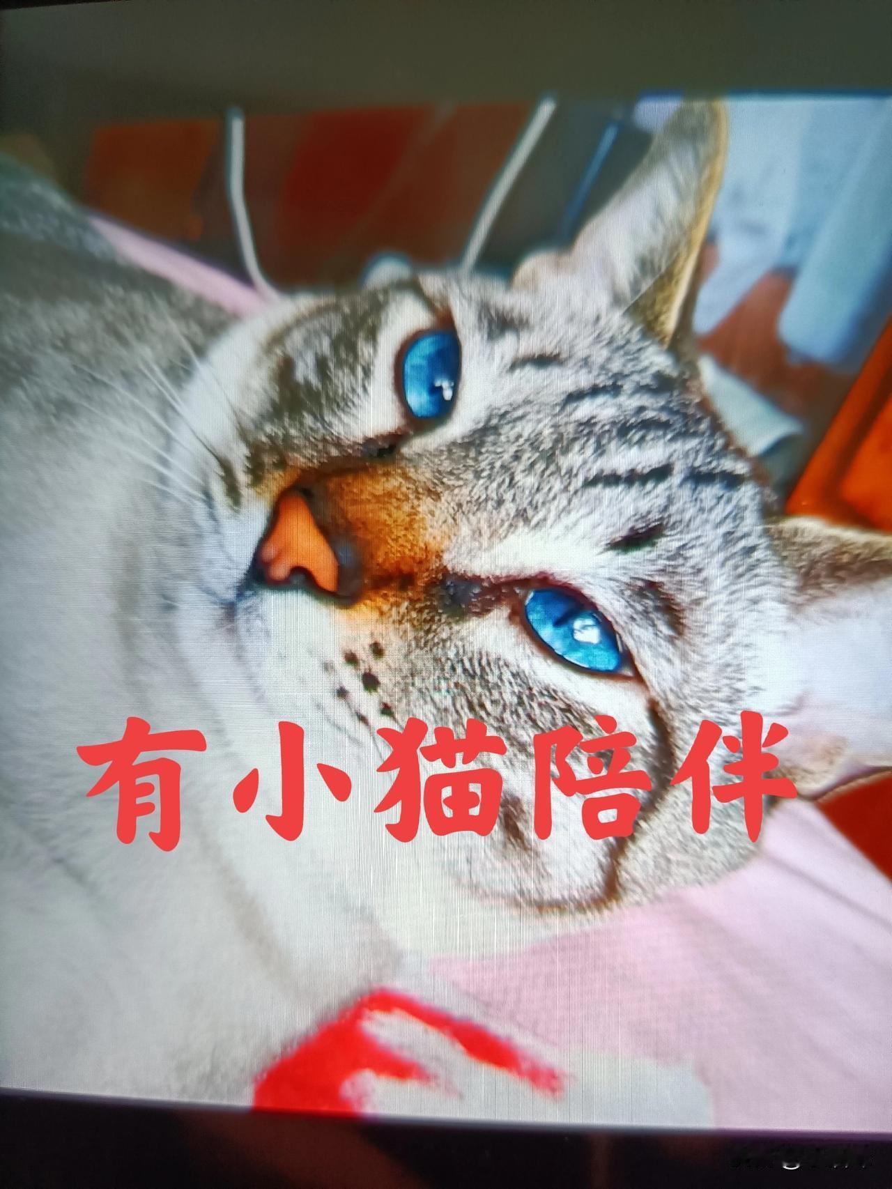 岁数越大，时间过得越快，还没咋样，又过年了，感觉日子都不是一天一天的过，就感觉是