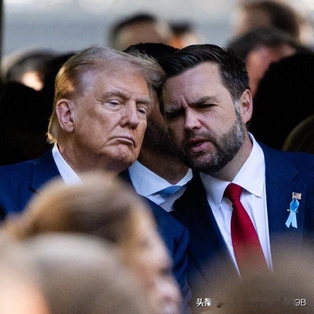 如果民主党赢得 2026 年中期选举，他们计划弹劾并罢免特朗普和万斯。
根据 P