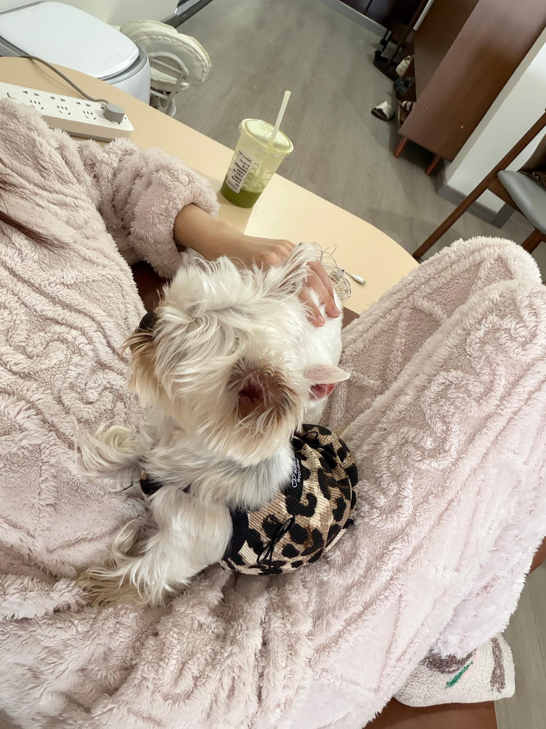 今年是不是夏天来得慢 看去年今日 今天都穿短袖了爸妈上班让他们把我叫醒 老板给我