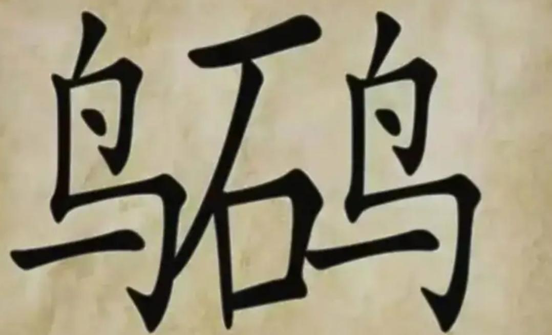 这是“鸟石鸟”三个字，有点潦草。这几个字怎么念呢？有会念的吗？读出来听听。