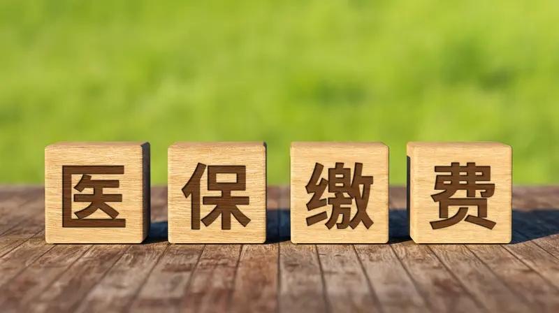 大理州弥渡县2026年度灵活就业和自谋职业人员医保缴费工作，现将相关事宜通告如下