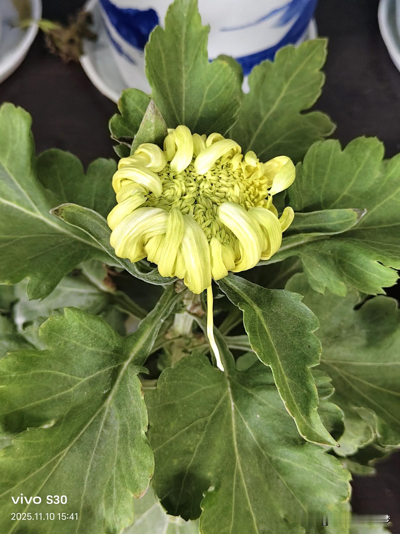 在异乡突然想家的瞬间