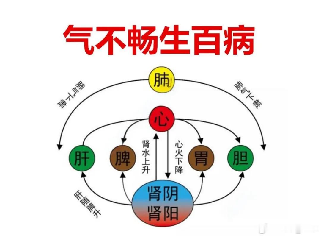 气虚、气滞、气逆：人体气机三种失常，核心就是气的运行出了三类故障中医讲“气贵流通