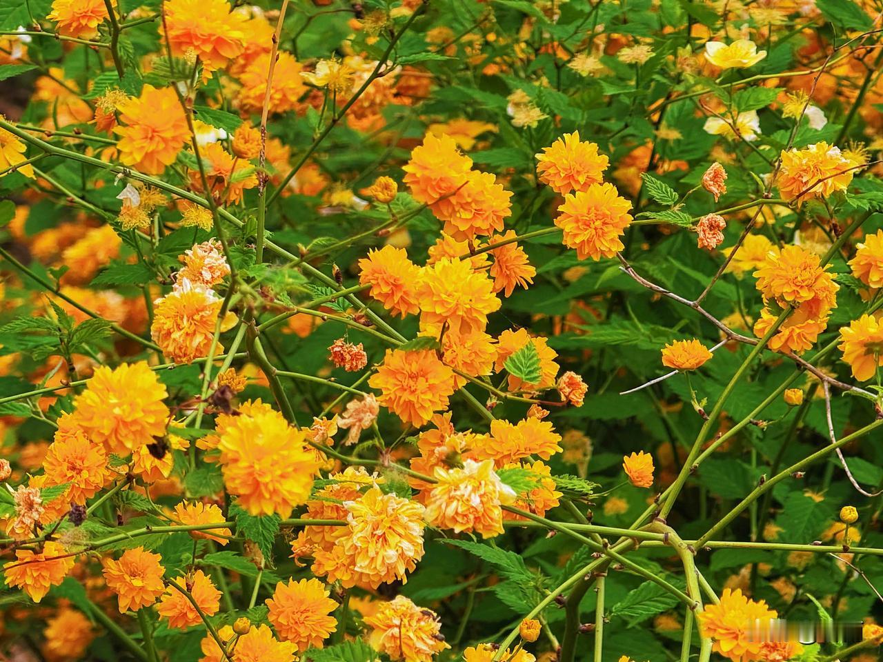 中老年人若是有心理压力，千万别硬扛！出现这些情况，及时求助不丢人。

年纪越来越