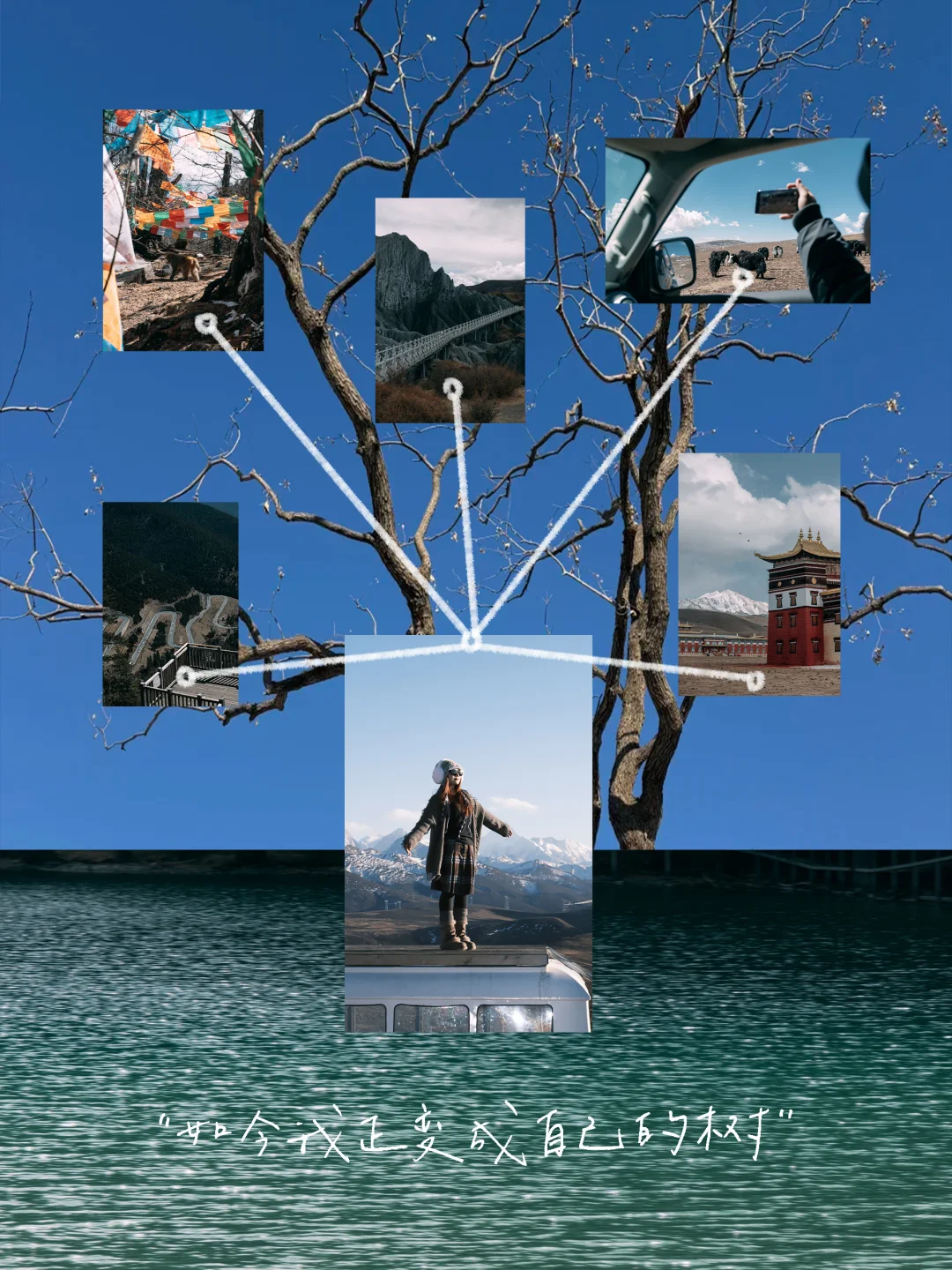 🌳｜如今我正变成自己的树