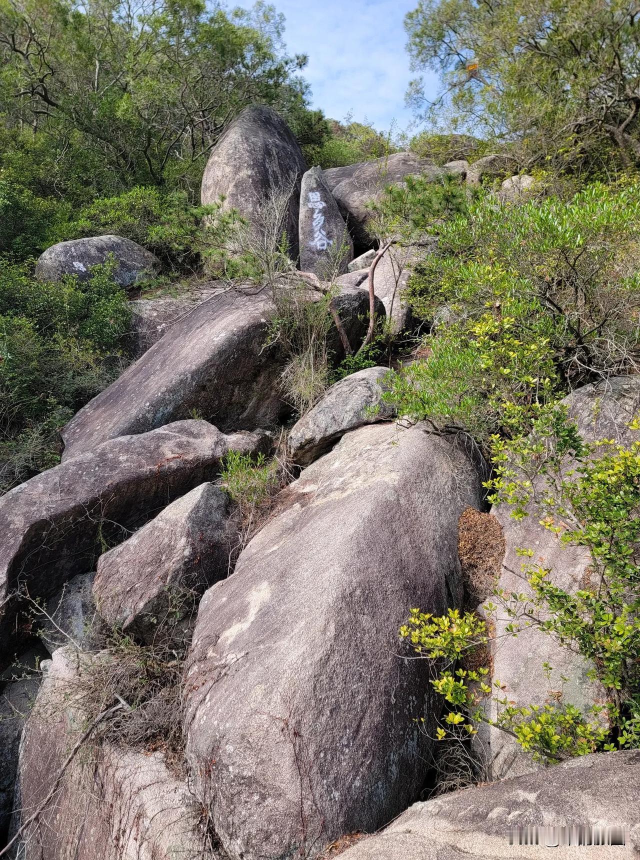 厦门东坪山攀岩爬石记

夫厦门者，闽南海疆明珠也。碧波环抱之外，别有奇峰藏于岛中