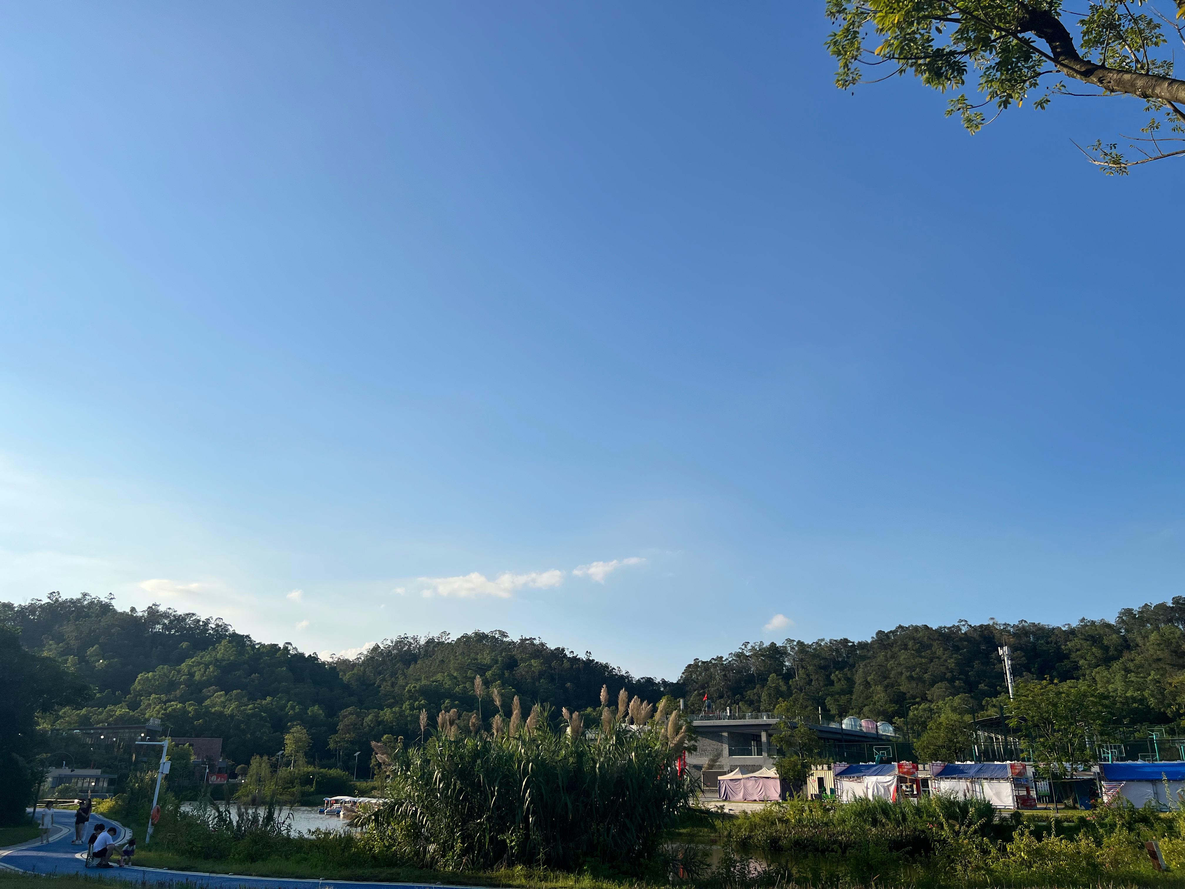 最近米米特别喜欢吃我弄的蛋挞～把我开心的，嘿嘿，我也是厨艺不错的。所以风雨无阻地