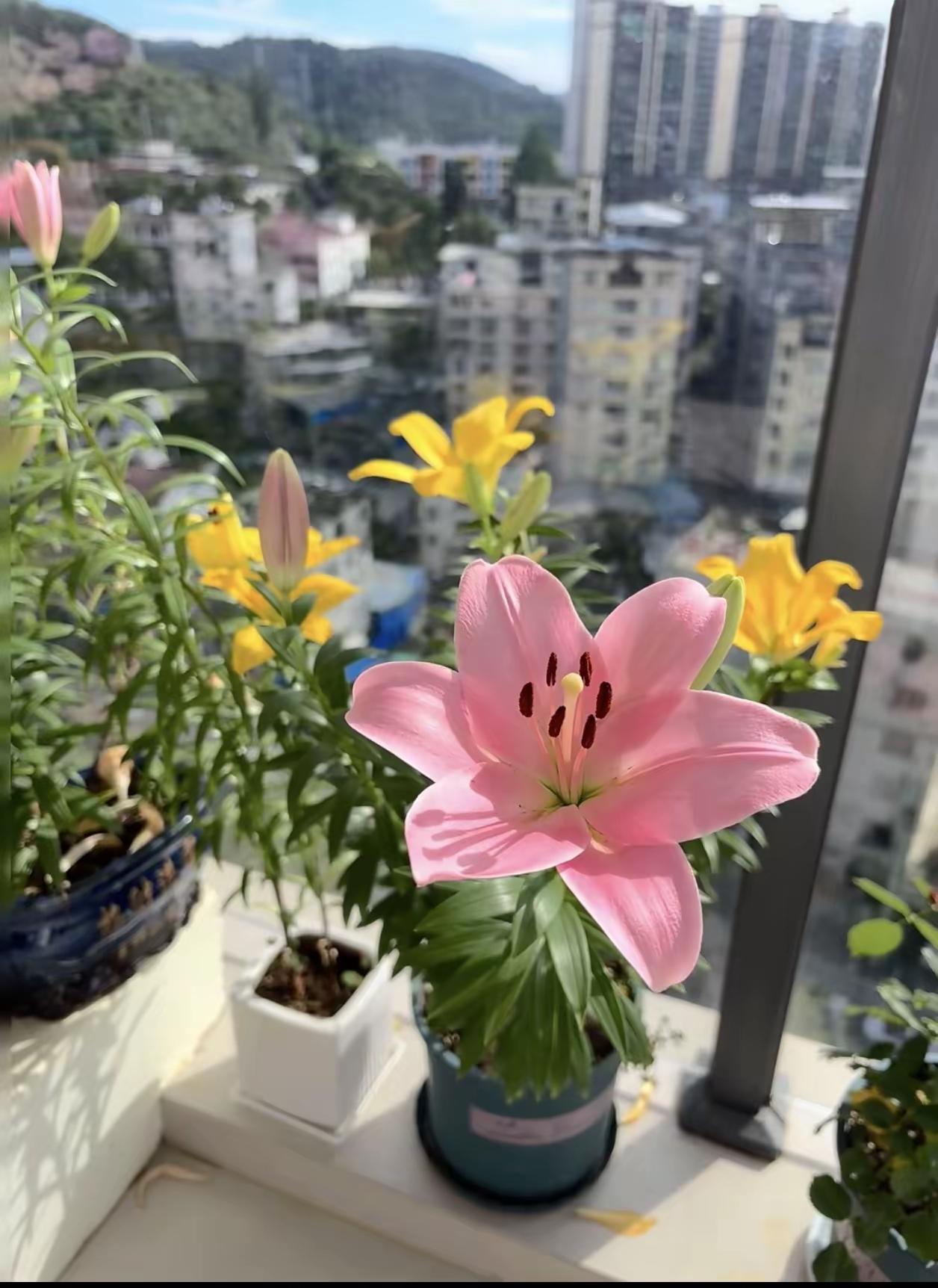 道尽了普通人的一辈子的话:

 花16年读一堆养不活自己的书，
花30年供一套不