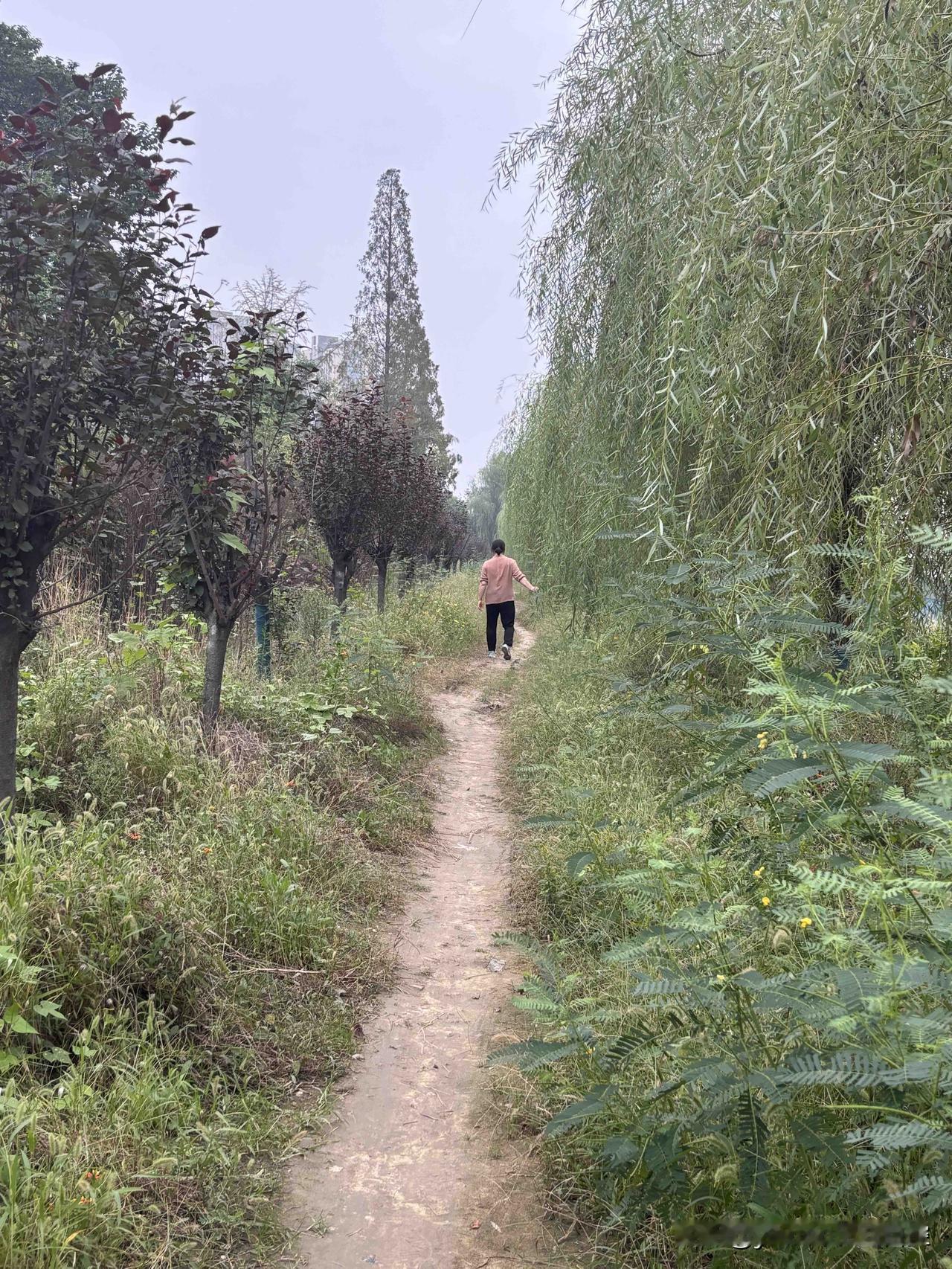 你我皆为此时此地的过客，
我们只是恰好路过，
我们存在的意义是为了看见、为了领悟