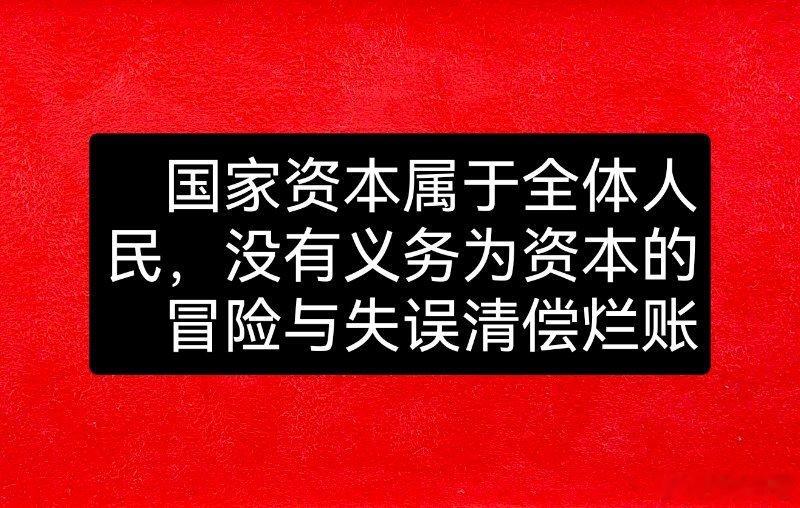 学者:国家资本属于全体人民，没有义务为资本的冒险与失误清偿烂账 ​​​
