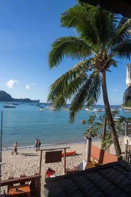 菲律宾加入“硅和平”倡议，后果恐怕不妙。美国主导这一倡议，拉菲律宾入局，看似是让