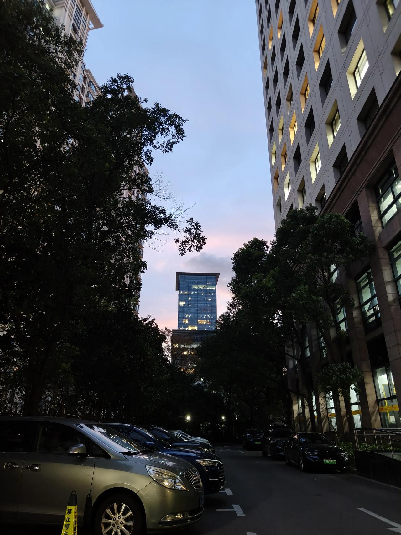 傍晚🌆的天空非常美～[玫瑰]