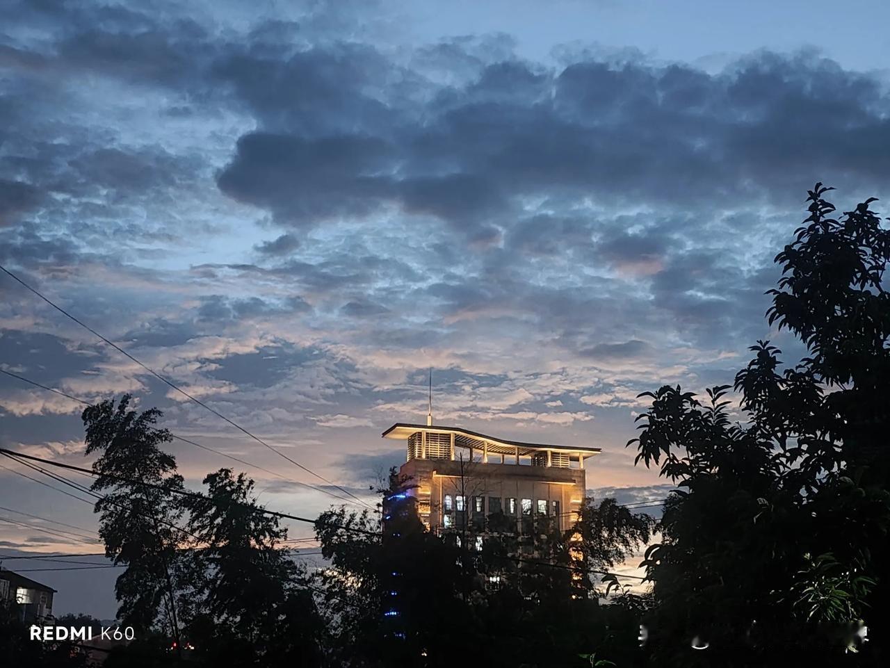 对武大图书馆事件的一点分析和看法
一、对当事人杨景媛行为的法律分析  
    