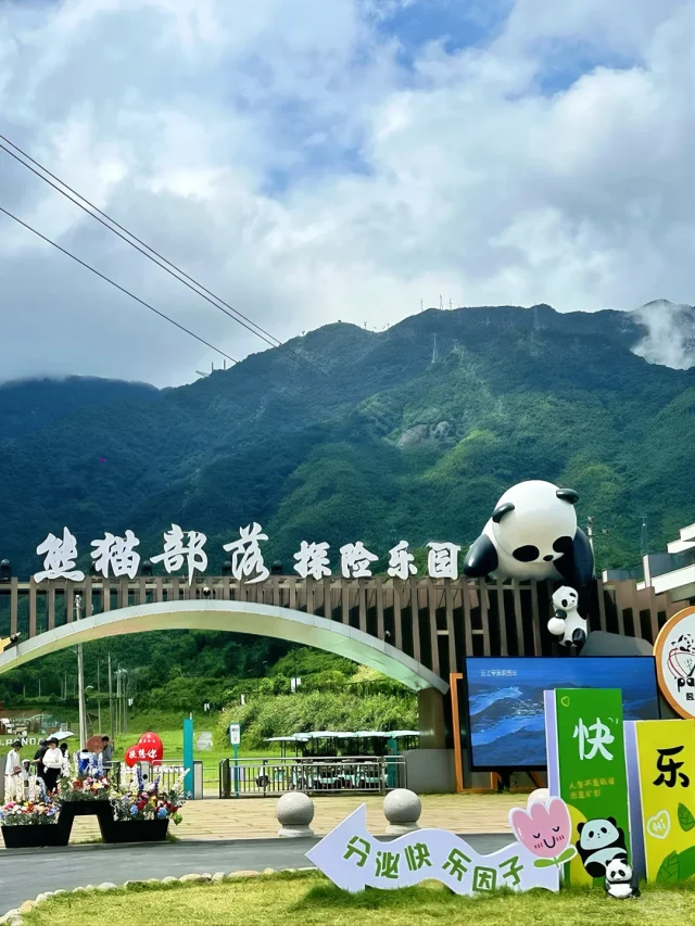 🌿安吉熊猫部落｜江浙沪避暑天花板！