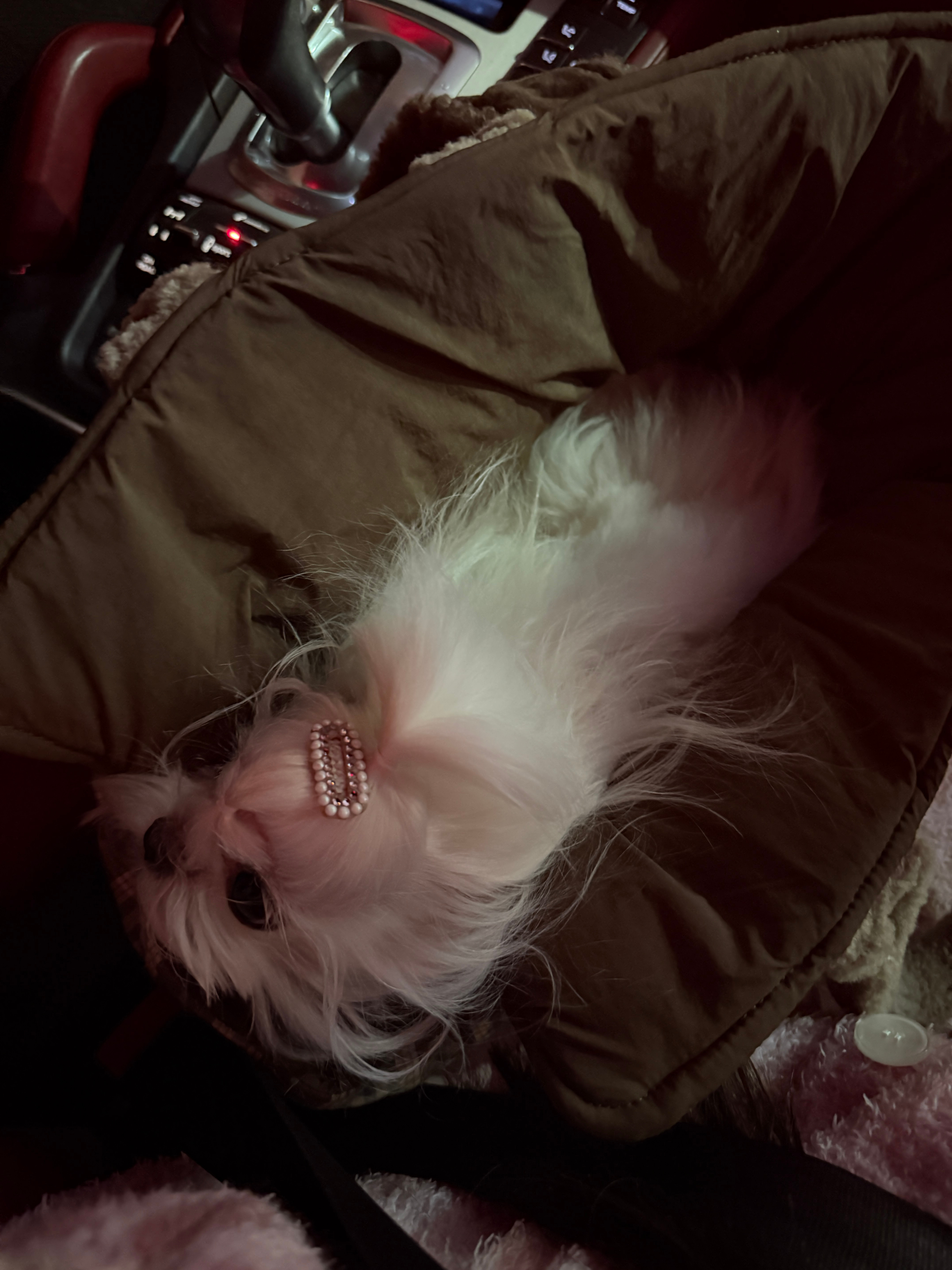 腊八节快乐！喝腊八粥了吗 