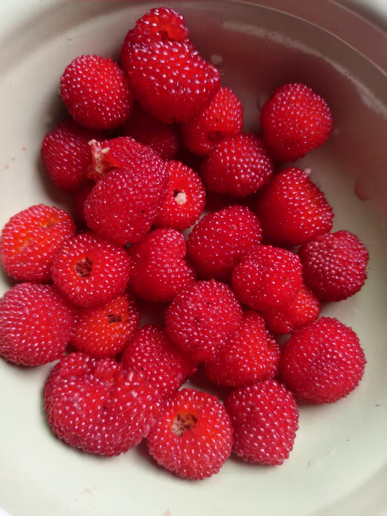 我老家福建省古田县野草莓！
现在正值旺季，这东西不好保存，虽然现代冷链物流技术强