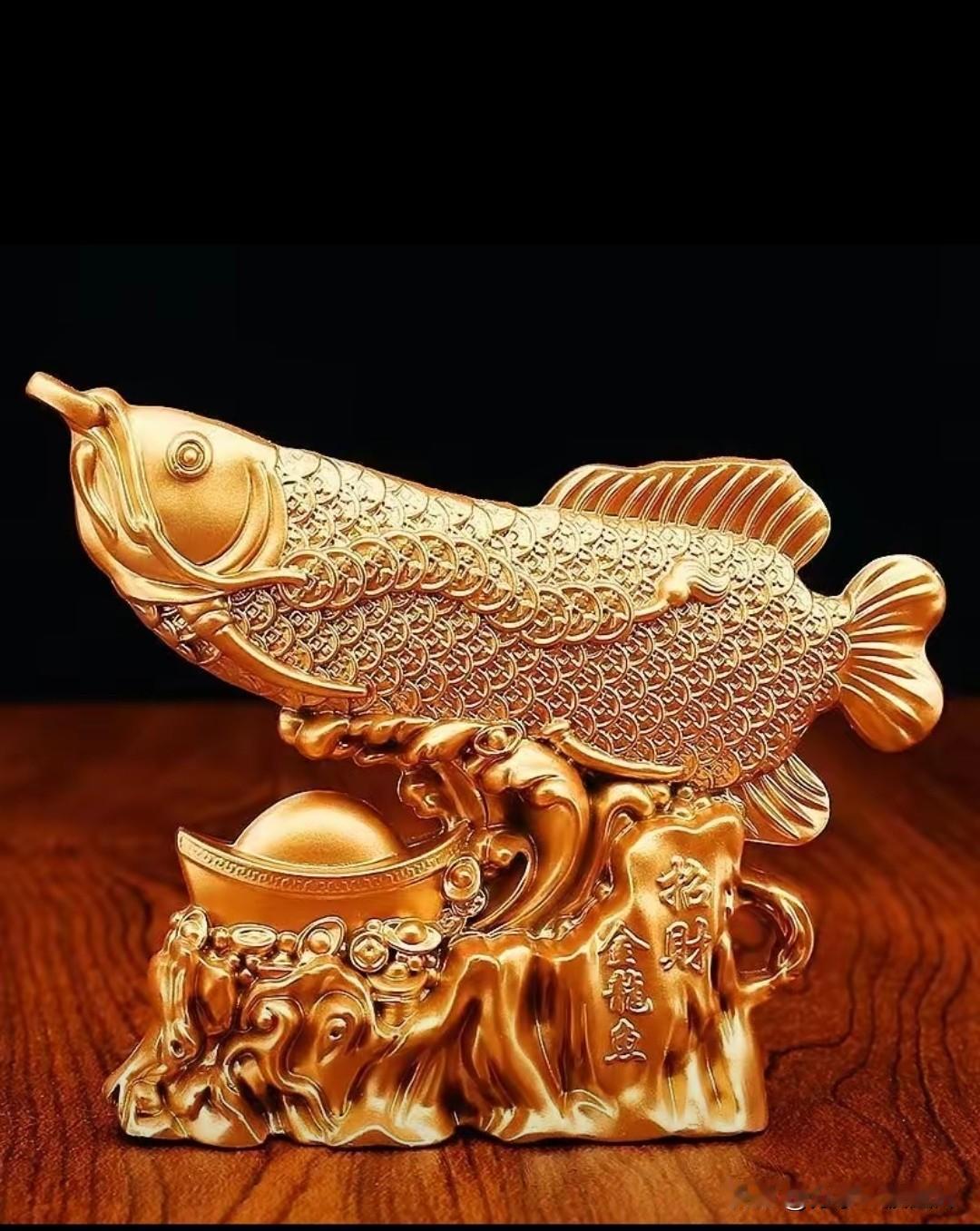 招财龙鱼