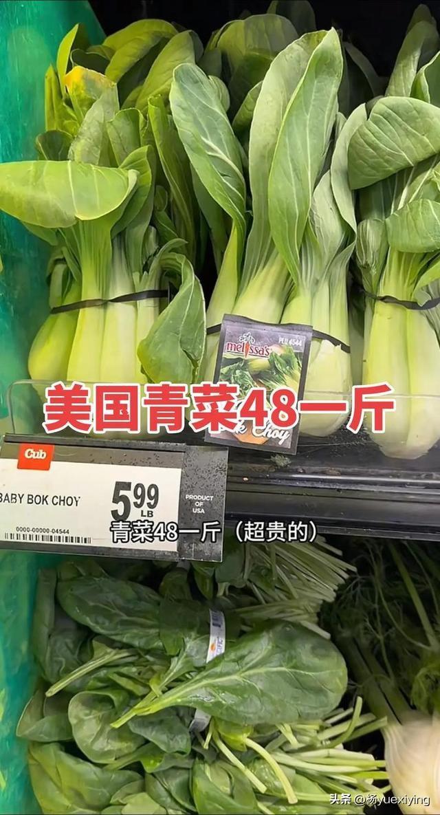 一棵过冬的大白菜，世界各国价格多少呢？

2026年10月各国一颗大白菜（约2‑