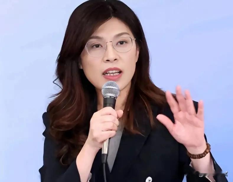 军购案蓝白阵营协商一致引发赵少康不满，一脸奴相暴露无遗！
4月23日，国民党发言