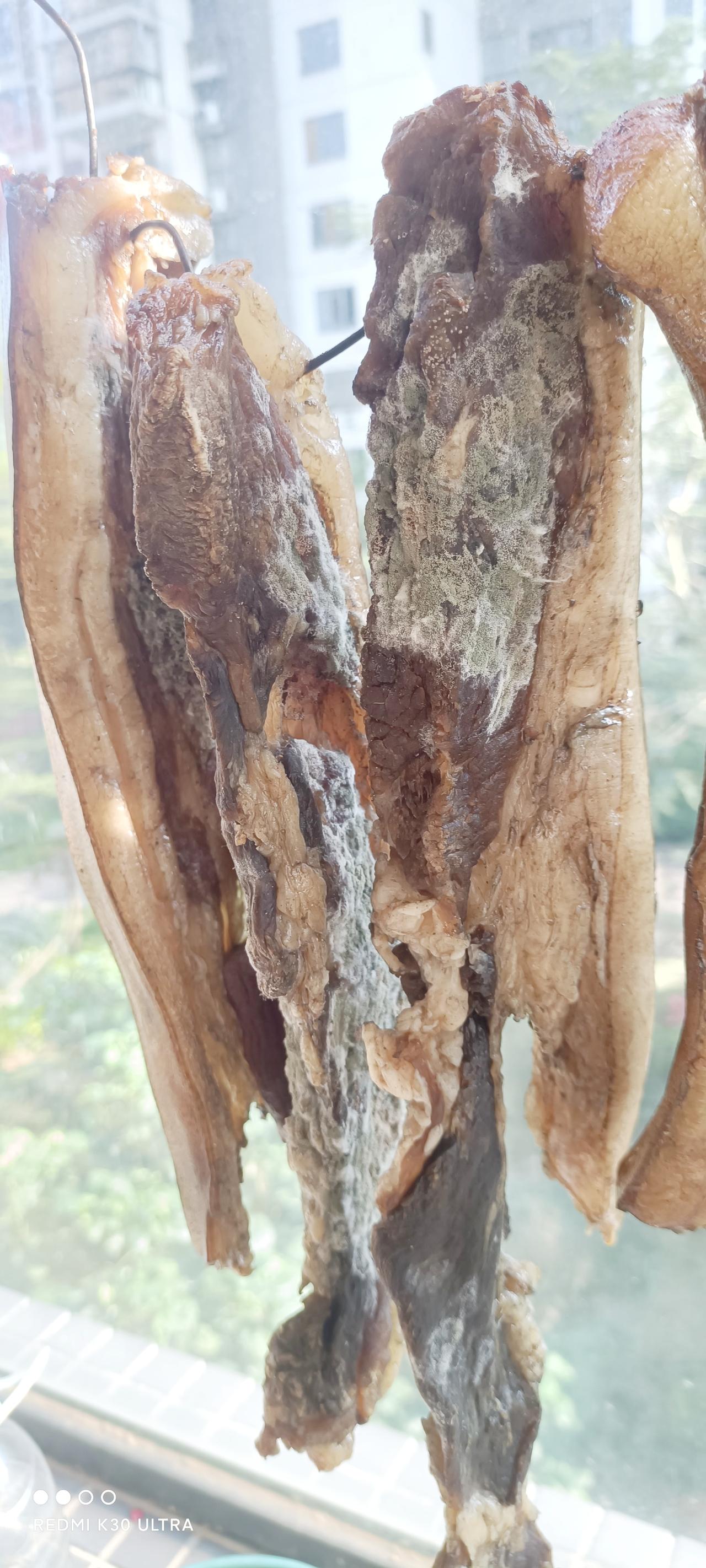 紧急求助大家，这腊肉还能要吗？
过年回家，亲戚送了几条自己做的腊肉给我们，叮嘱回