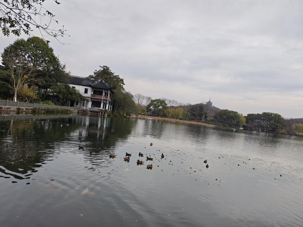 凡是关乎于民生的都不应该涨价！本来工薪阶层就已经活的很累很艰难了，如果吃的、用的