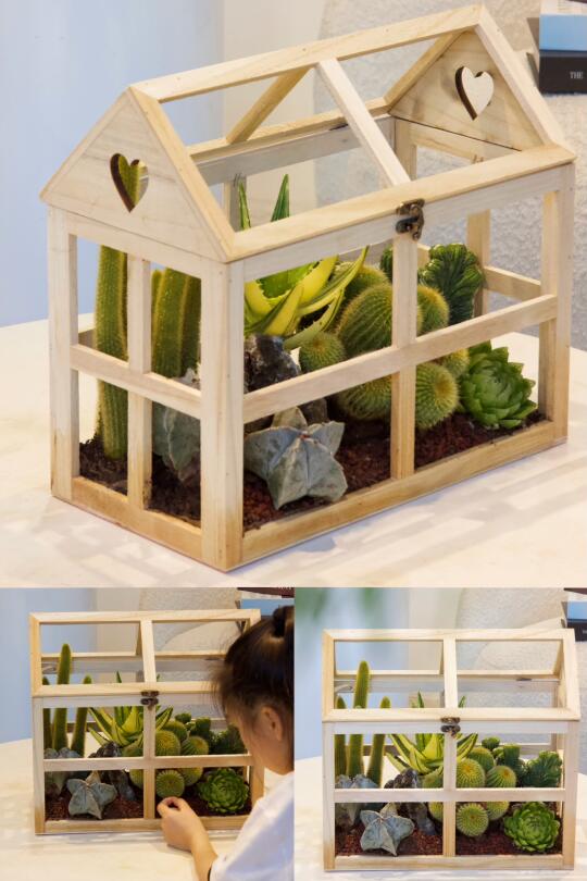 沙生植物花房