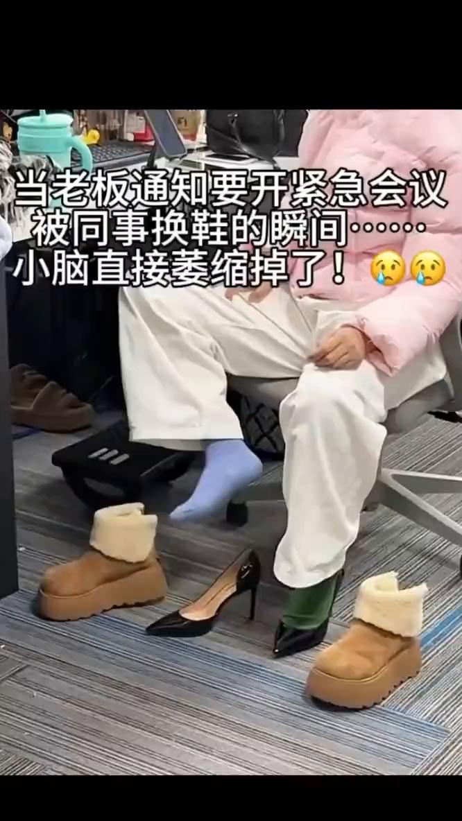 当老板通知要开紧急会议，被同事换鞋的瞬间，小脑直接萎缩掉了。