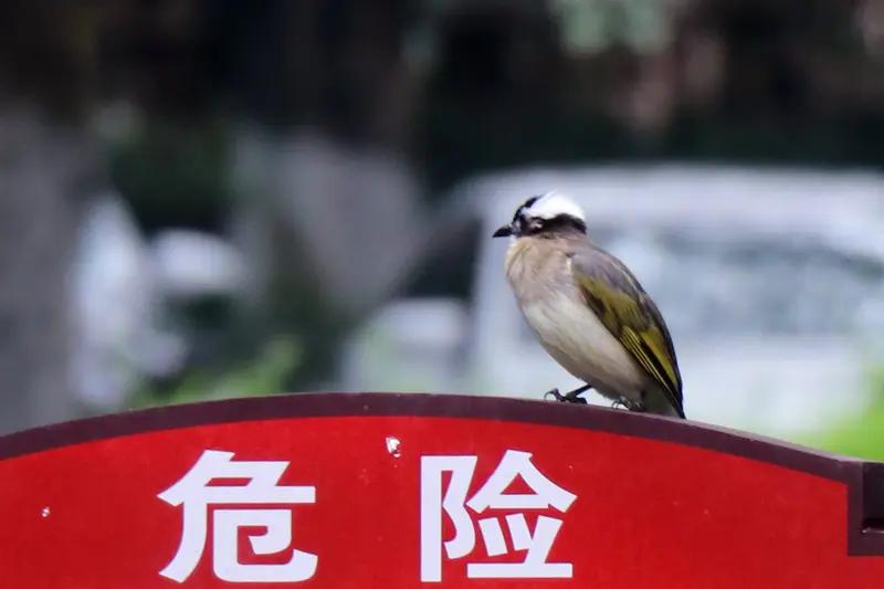 做官最重要的职责是什么 做官最重要的职责是什么在为官之途，风高浪急甚至惊涛骇浪般