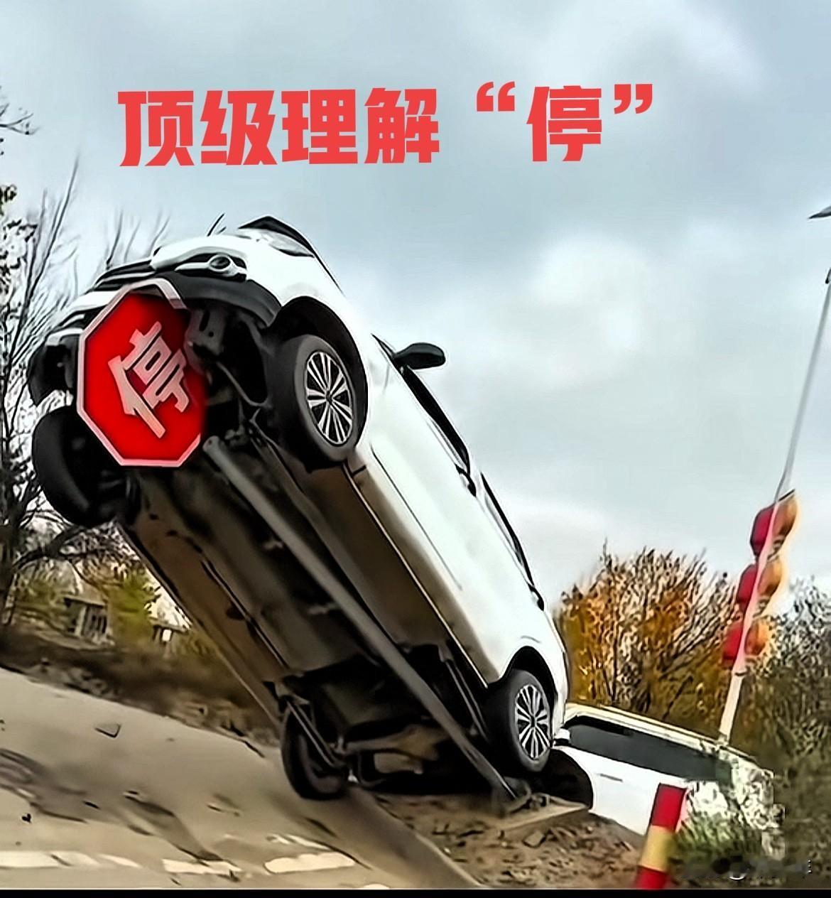 原来这个停字是这样理解的啊！这位车主确实有点东西！