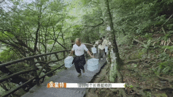 武功山挑山路上的快乐瞬间！张星特分享被路人先夸帅后怼眼瞎的经历，何广智直接笑到泄