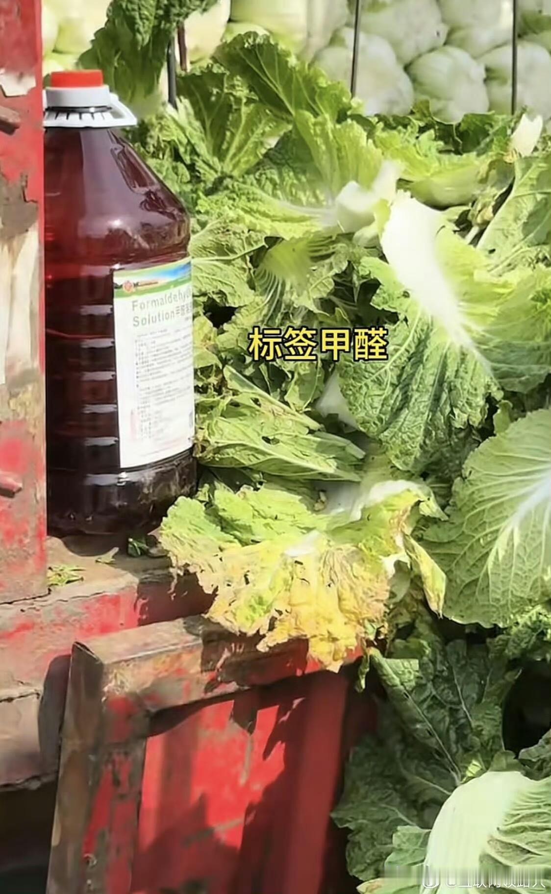 太吓人了吧为了保鲜既然白菜装车前蘸甲醛，好好的白菜一下不就被污染了吗，反正如果我