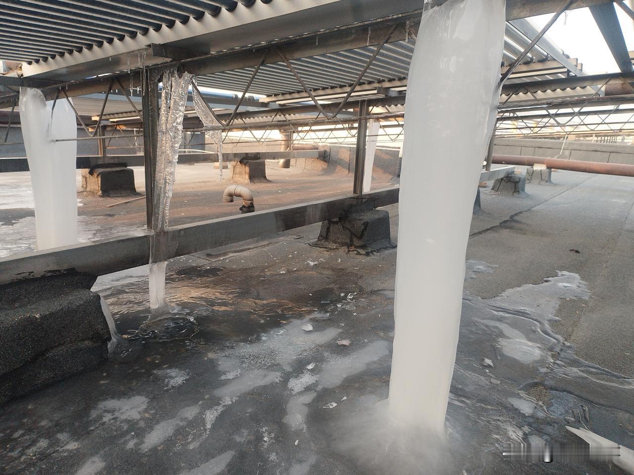 一大早楼顶出现了神奇的一幕