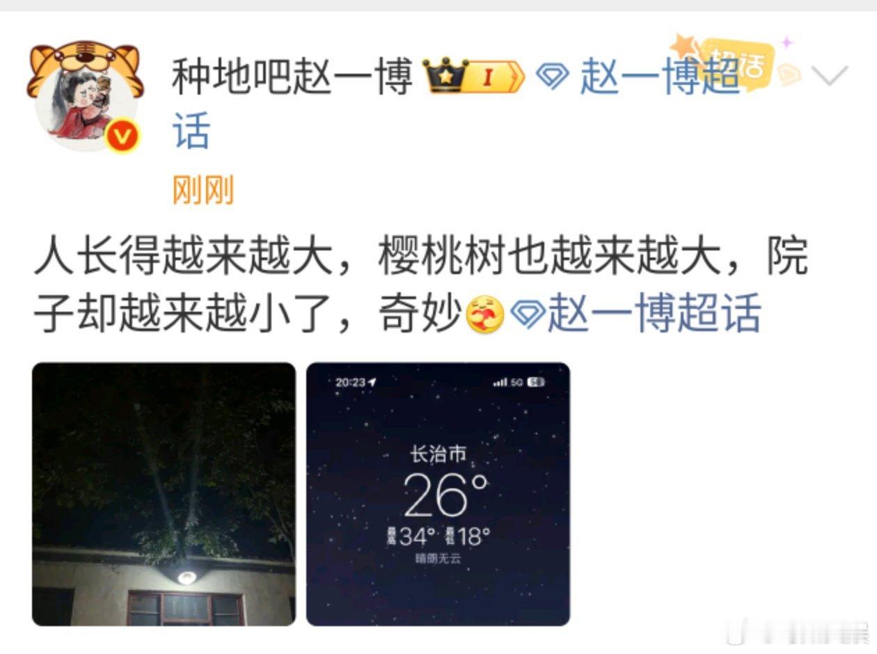 赵一博回老家赵一博院子却越来越小了赵一博院子却越来越小了，樱桃树也越来越大， ​