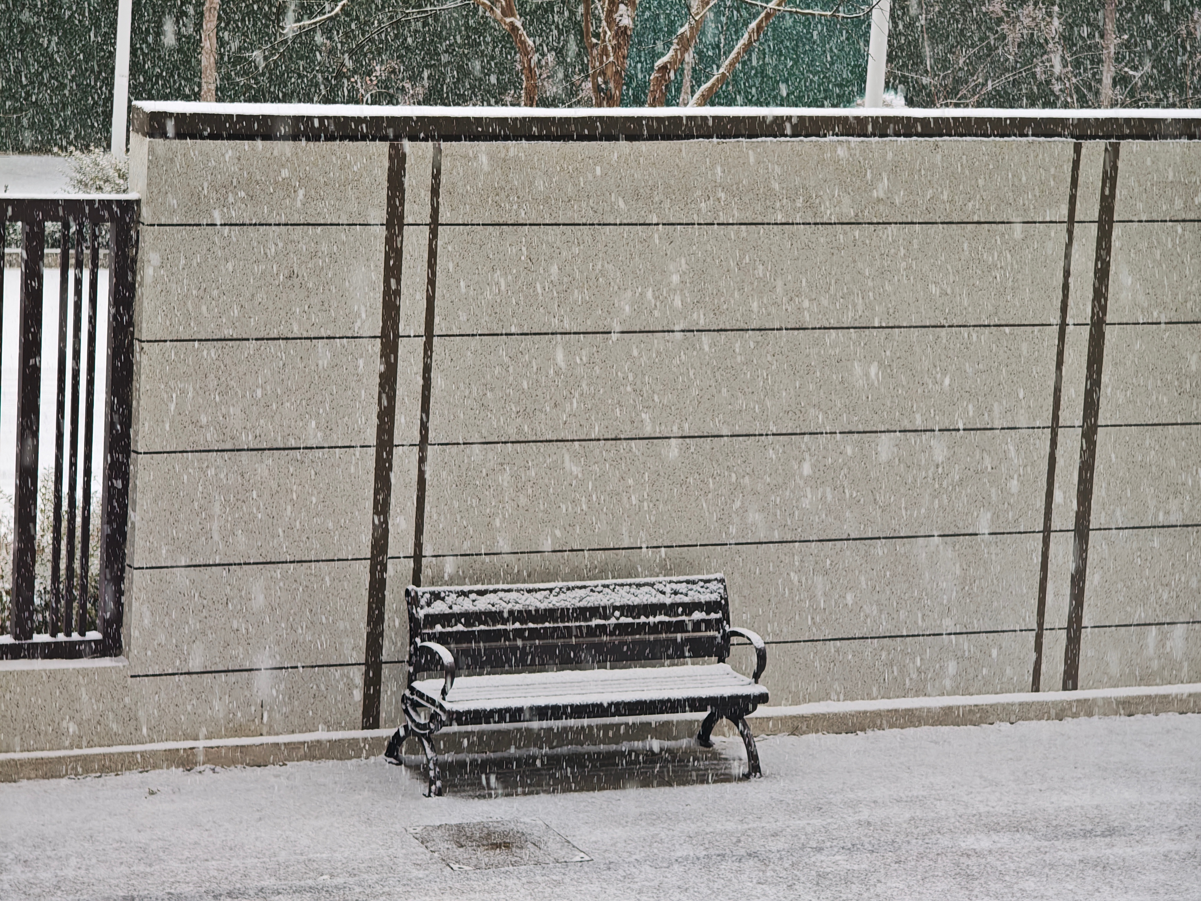 石家庄下雪下的好大，给你们拍个live图。 