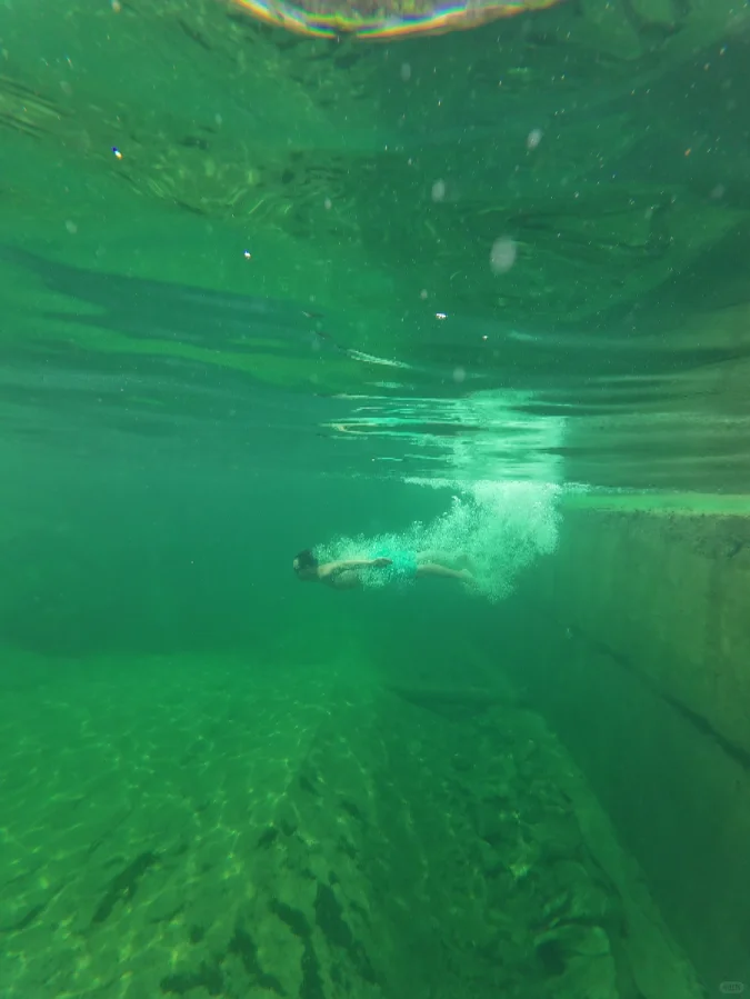 想知道蝴蝶飞翔时的感受 于是我扎入水中飞翔