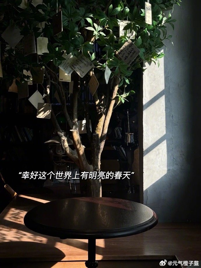四月是一场拥挤的新绿四月生活我的日常生活需要分享欲