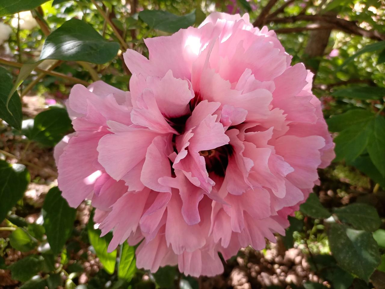 五月江南麦已稀，你对下联七月塞北瓜正甜挖掘下联之魅力 春夏秋冬求下联 继续探讨下