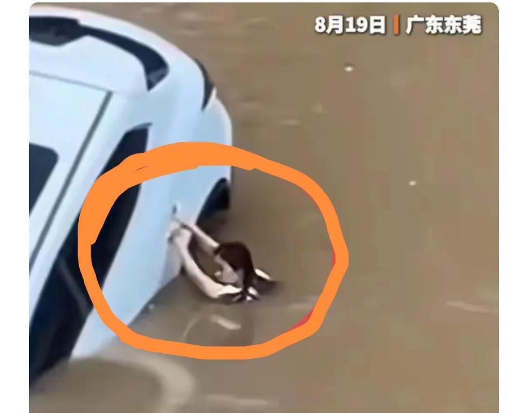 这个地方的人，如果能看过成都一样事例的视频就好了，落水的人能救上来多好。
其实有