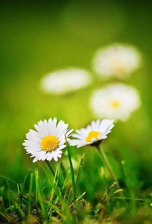 文章从衣食住行到劳逸怒名，把人生的方方面面都概括了。其实生活没有标准答案，但“恰