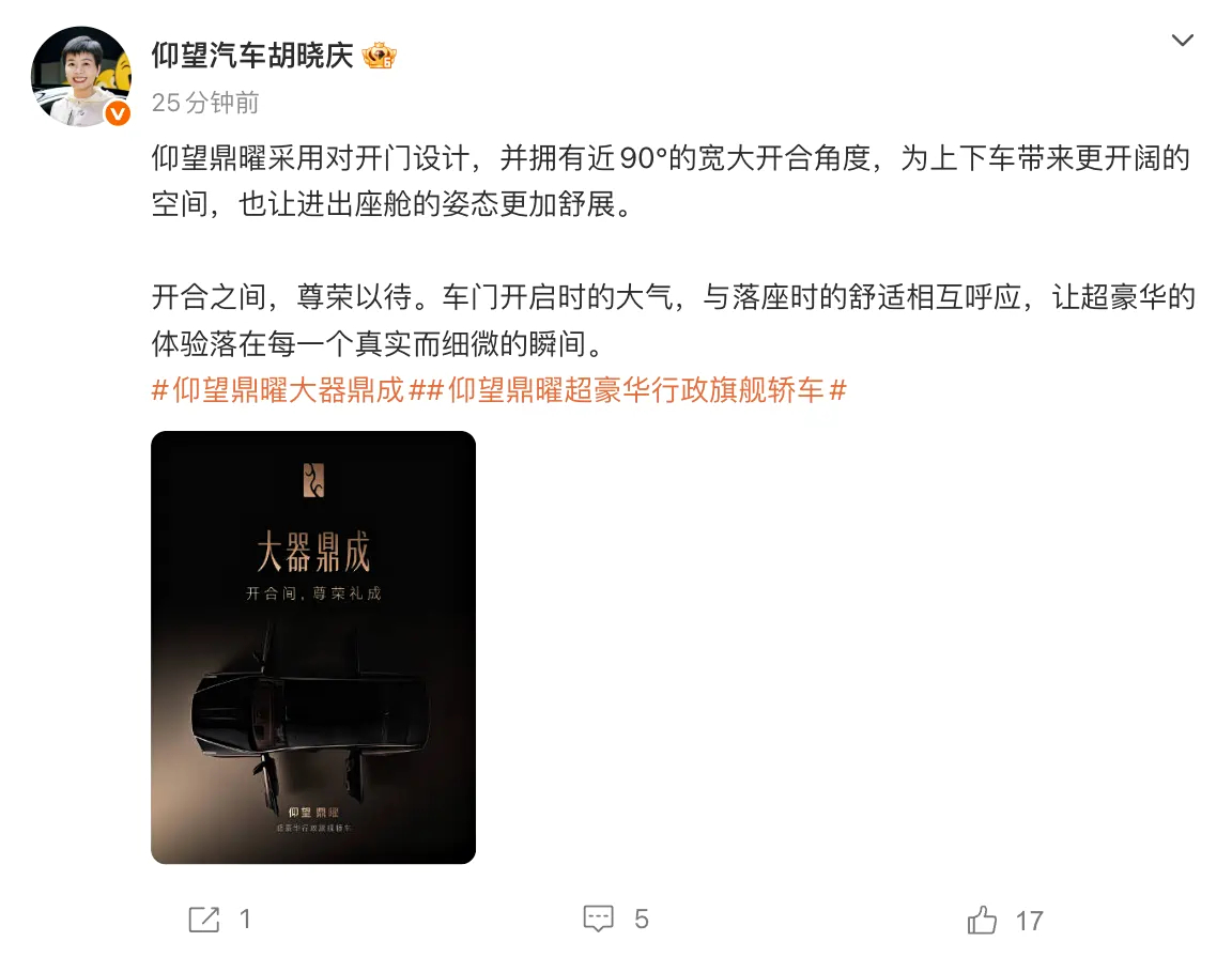 仰望鼎曜官宣采用对开门设计，并且开门角度达到接近90°。对开门这种设计由于会大幅
