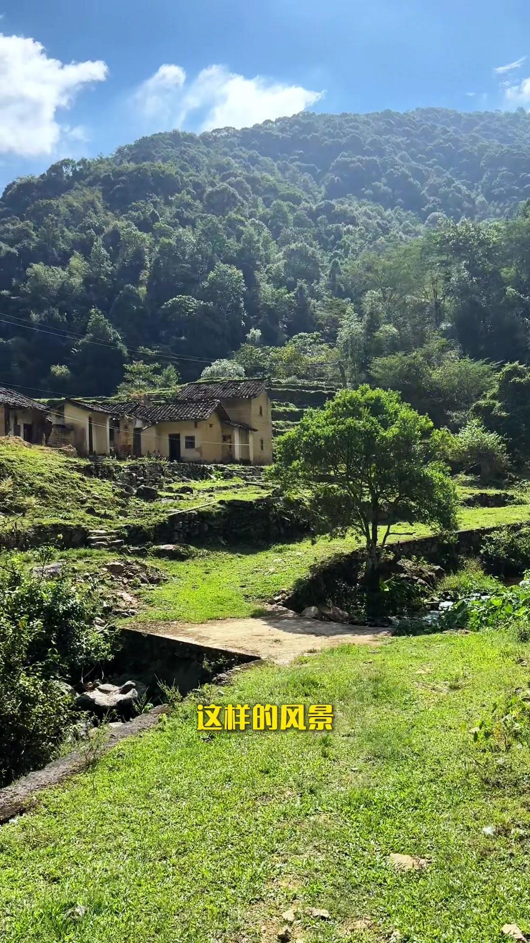 🍃在广东周边居然挖到了类似“阿勒泰”的小众秘境！整片大草原铺展在粤东圣女峰脚下