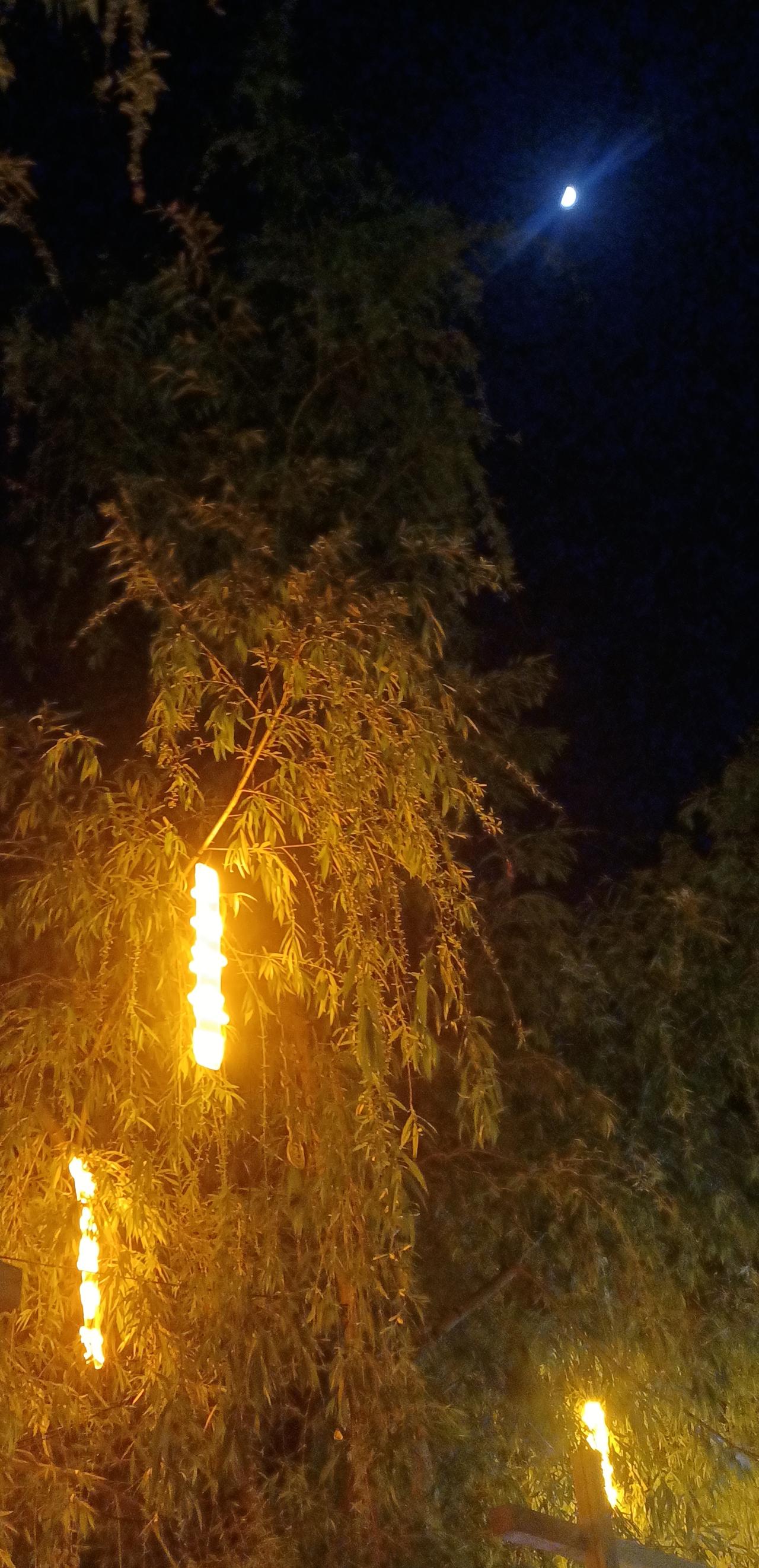 【春之韵·在岁月里自渡】美景图片分享

生活就该被喜欢的人和事填满。
坏事不扬，