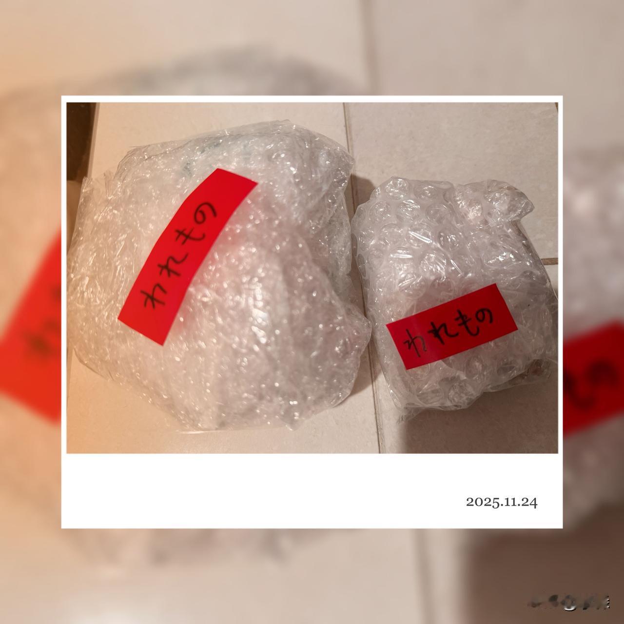 不小心打碎了盘子，易碎垃圾，在日本一般要这样扔。

想起小泉进次郎，说他扔垃圾，